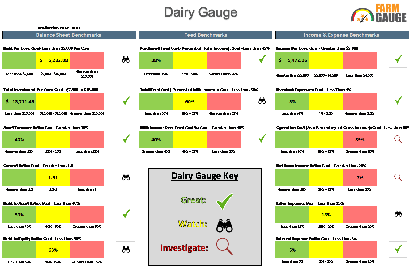 Dairy Gauge scorecard