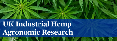 UK Industrial Hemp Agronomic Research button